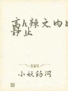 高h辣文肉时间静止