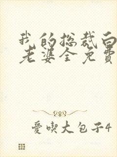 我的总裁白富美老婆全免费的小说封面