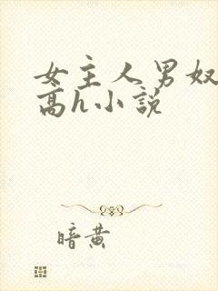 女主人男奴调教高h小说
