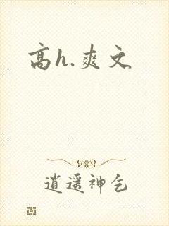 高h.爽文