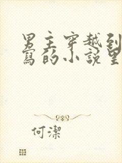 男主穿越到自己写的小说里