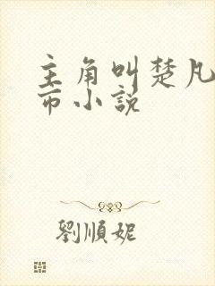 主角叫楚凡的都市小说