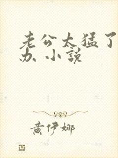 老公太猛了怎么办 小说