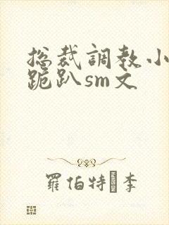 总裁调教小秘书跪趴sm文