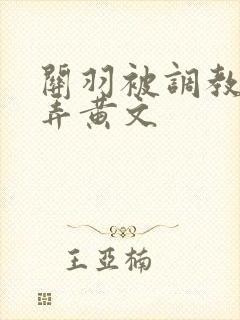 关羽被调教h玩弄黄文封面