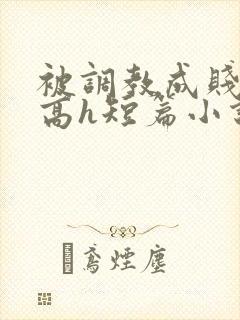 被调教成贱奴的高h短篇小说推荐