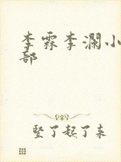 李霖李澜小说全部