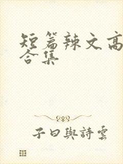 短篇辣文高h文合集