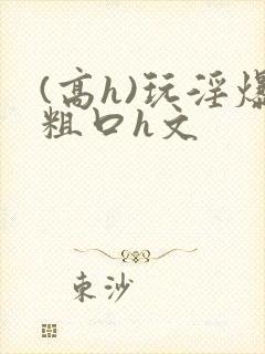 (高h)玩淫爆粗口h文