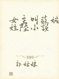 女主叫苏婉男主姓陆小说