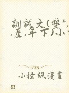 训诫文(双*,,产,年下)小说