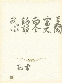 我的白富美老婆小说全文阅读