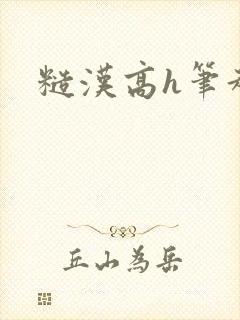 糙汉高h笔趣阁