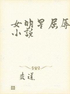 女明星屈辱调教小说封面