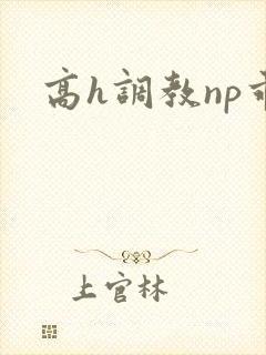 高h调教np乖封面