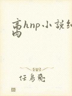 高hnp小说纯肉封面