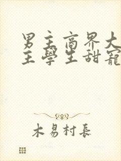 男主商界大佬女主学生甜宠文