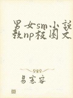 男女sm小说调教np校园文封面