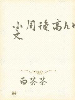 小周后高h肉辣文