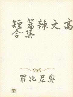 短篇辣文高h文合集