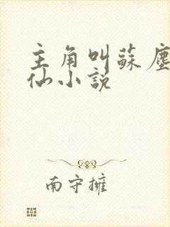 主角叫苏尘的修仙小说