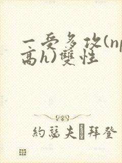 一受多攻(np高h)双性