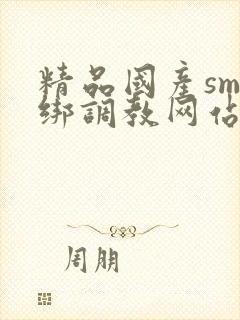 精品国产sm捆绑调教网站