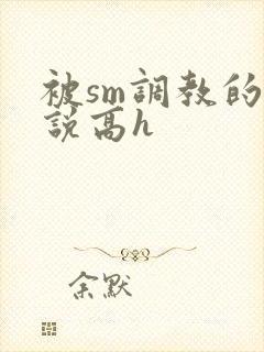 被sm调教的小说高h