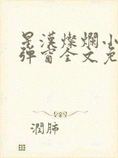 星汉灿烂小说无弹窗全文免费阅读