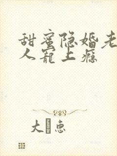 甜蜜隐婚老公大人宠上瘾