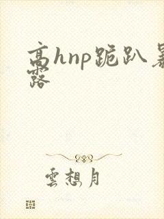 高hnp跪趴暴露封面