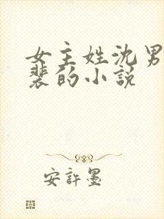 女主姓沈男主姓裴的小说