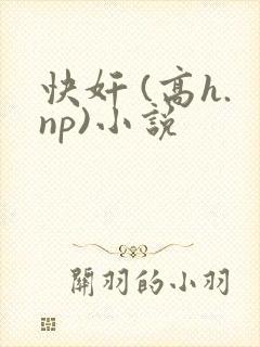 快奸 (高h.np)小说