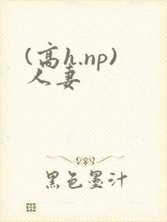 (高h.np)人妻
