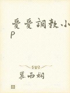 爱爱调教小说多p封面