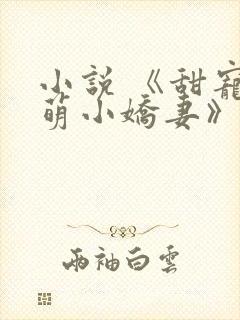 小说 《甜宠呆萌小娇妻》