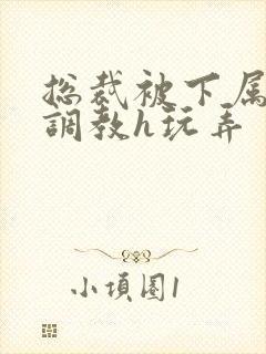 总裁被下属催眠调教h玩弄封面