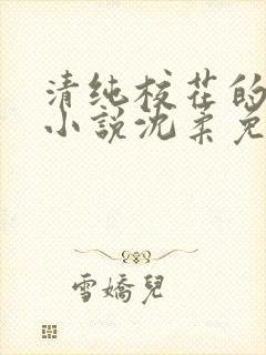 清纯校花的日常小说沈柔免费阅读