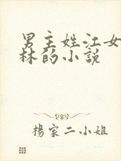 男主姓江女主姓林的小说