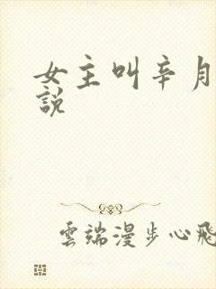女主叫辛月的小说