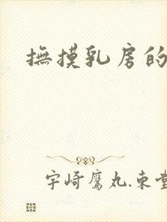 抚摸乳房的小说