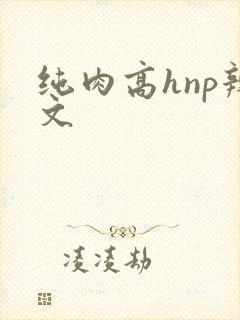 纯肉高hnp辣文