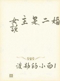 女主是二婚的小说