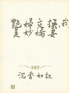 艳妇交换,我的美妙娇妻