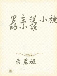 男主从小被调教的小说