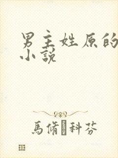 男主姓原的现代小说封面