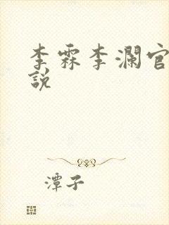 李霖李澜官场小说