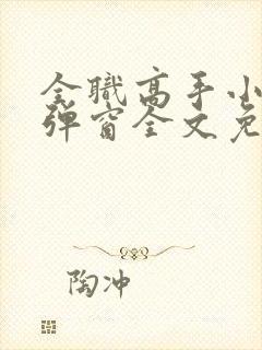 全职高手小说无弹窗全文免费阅读封面