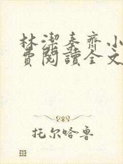 林洁秦齐小说免费阅读全文最新章节