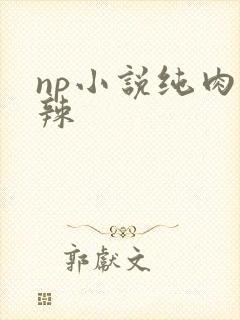 np小说纯肉高辣